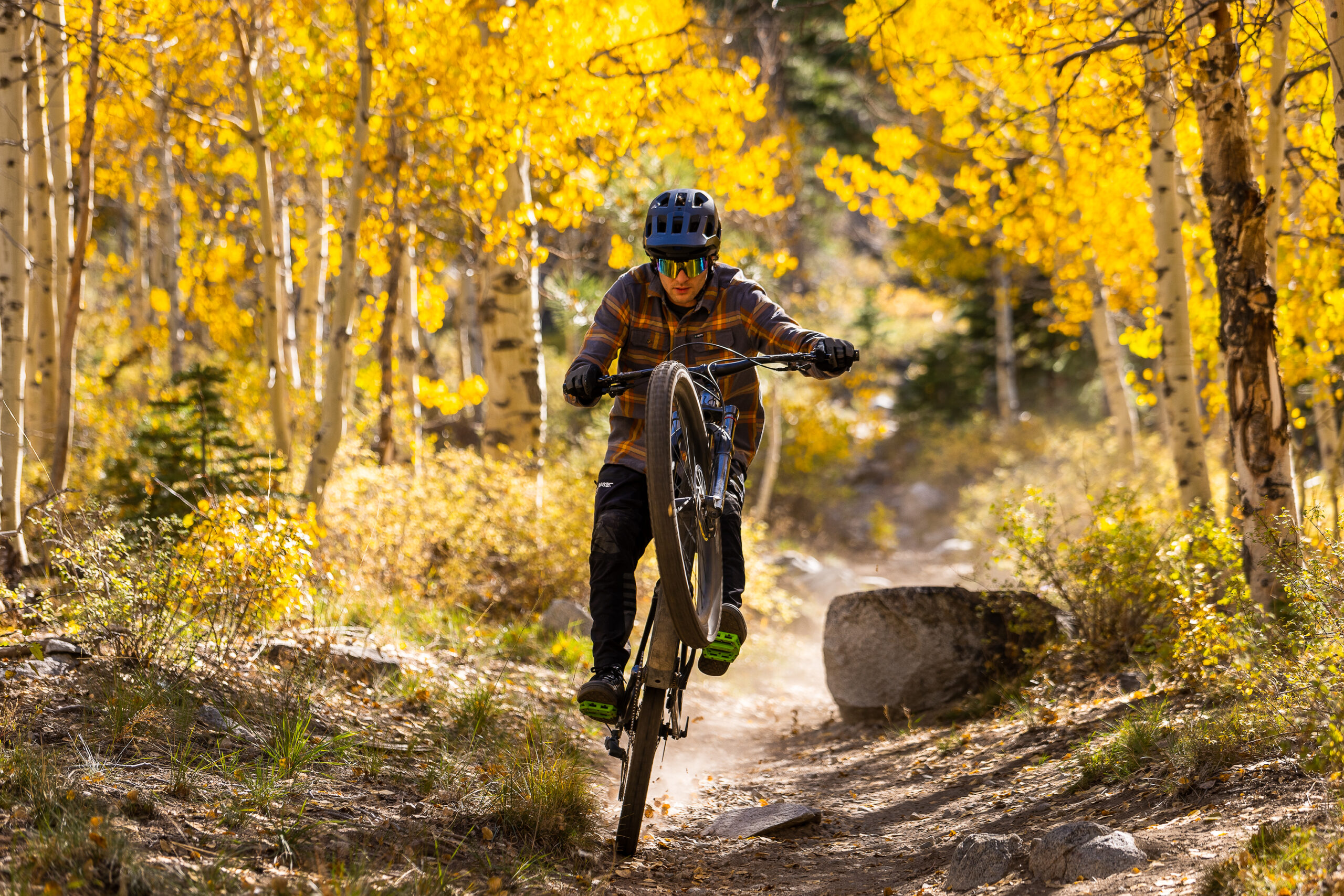Fall mountain biking, 2