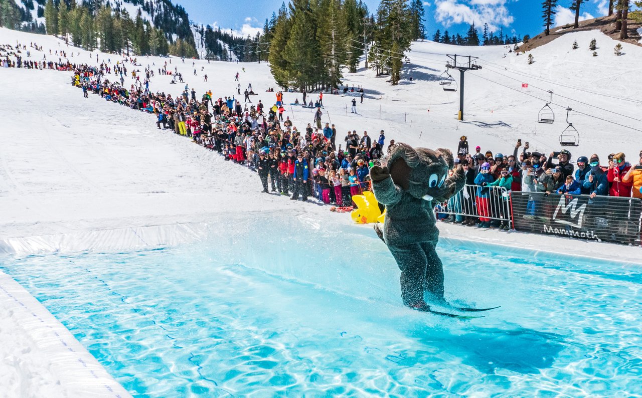 Woolly at Pondskim